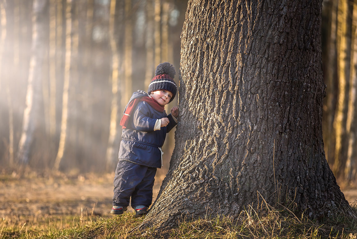 bambino che abbraccia un albero per la festa degli alberi del 21 novembre