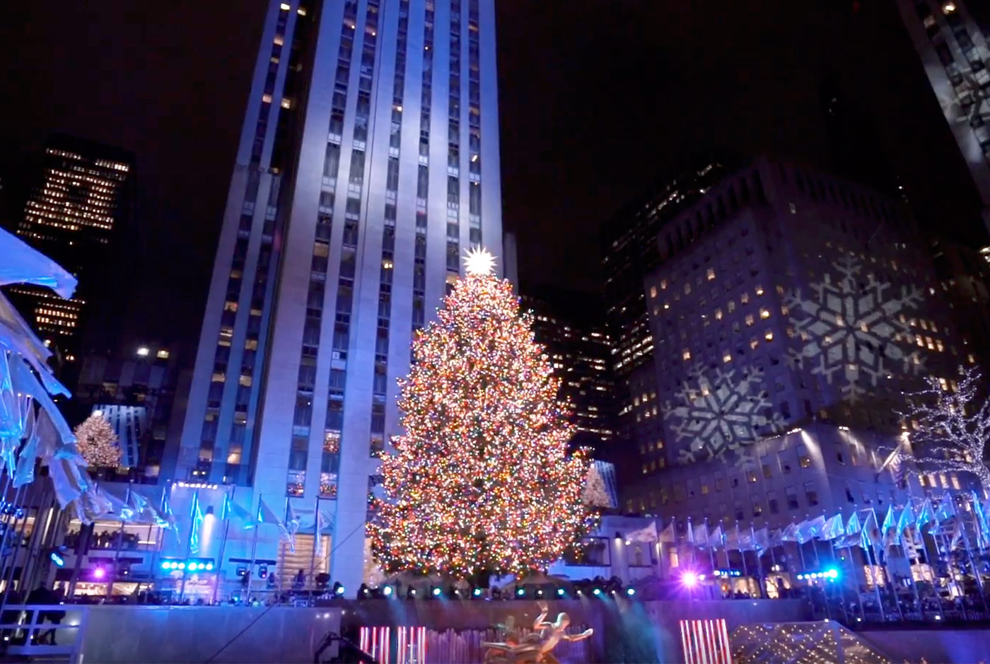Il maestoso albero di Natale di New York