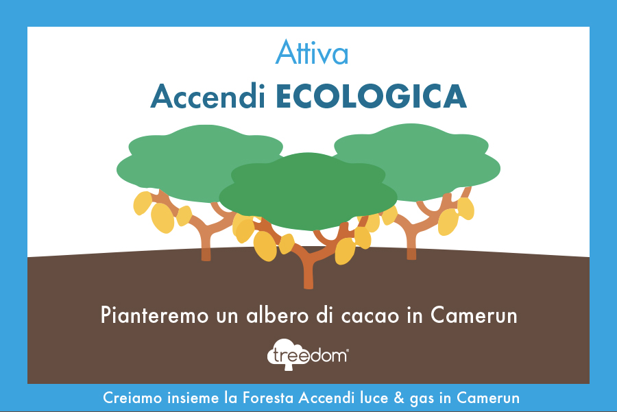 Attiva Accendi ECOLOGICA e pianteremo un albero di cacao
